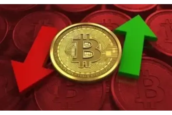 phases du cycle des cryptomonnaies